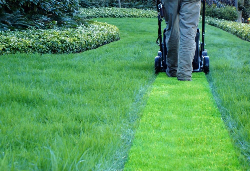 Lawn mowing