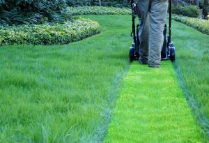 Lawn mowing