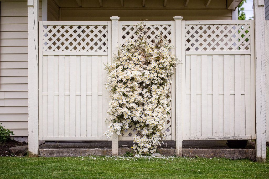White privacy fencing with beautiful flowers