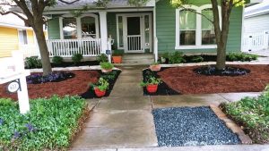 No maintenance xeriscape design